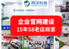 网沃科技重庆本土知名软件技术服务商！我们深知做一家公司是不容